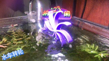 https://makerworld.bblmw.com/makerworld/model/USb9e9a038d35ebe/design/2024-05-07_a83f38d1c4706.gif