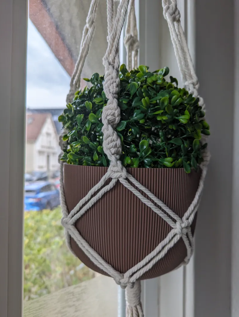 Blumentopf / Flower Pot