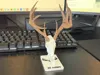 0.16mm layer, 2 walls, 45% infill