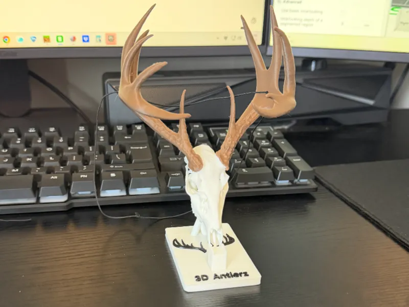 Hightower-14 Point Whitetail Monster-196 5/8"