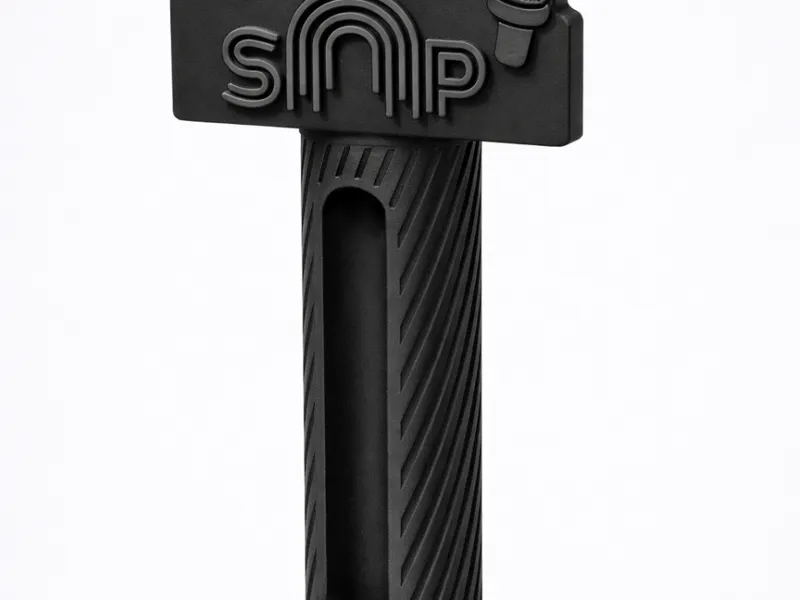 SAP MIC 2