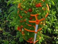 TomatoSystem_V2_Storm Edition_X1C-Profile