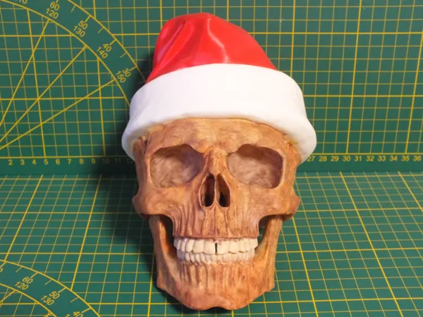 https://makerworld.bblmw.com/makerworld/model/USba05729fadcf62/design/2025-11-21_71bc171643fb8.jpg