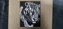 A1 Mini PLA Profile - 0.12mm layer, 1 walls, 100% infill