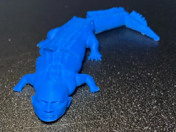 https://makerworld.bblmw.com/makerworld/model/USba0dca4ecce8fa/design/2025-02-15_f4a8c05835ecc.jpeg
