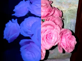 真爱夜光玫瑰花束