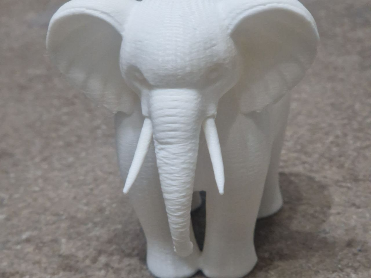 elefante con righe art 3d