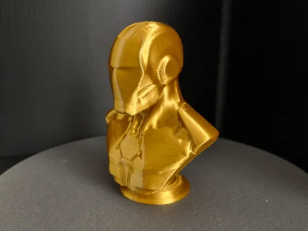 https://makerworld.bblmw.com/makerworld/model/USba1b0a9acf9864/design/2025-03-20_b5a80d81ce484.jpg