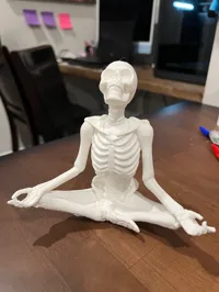 Squelette en méditation — photo 1