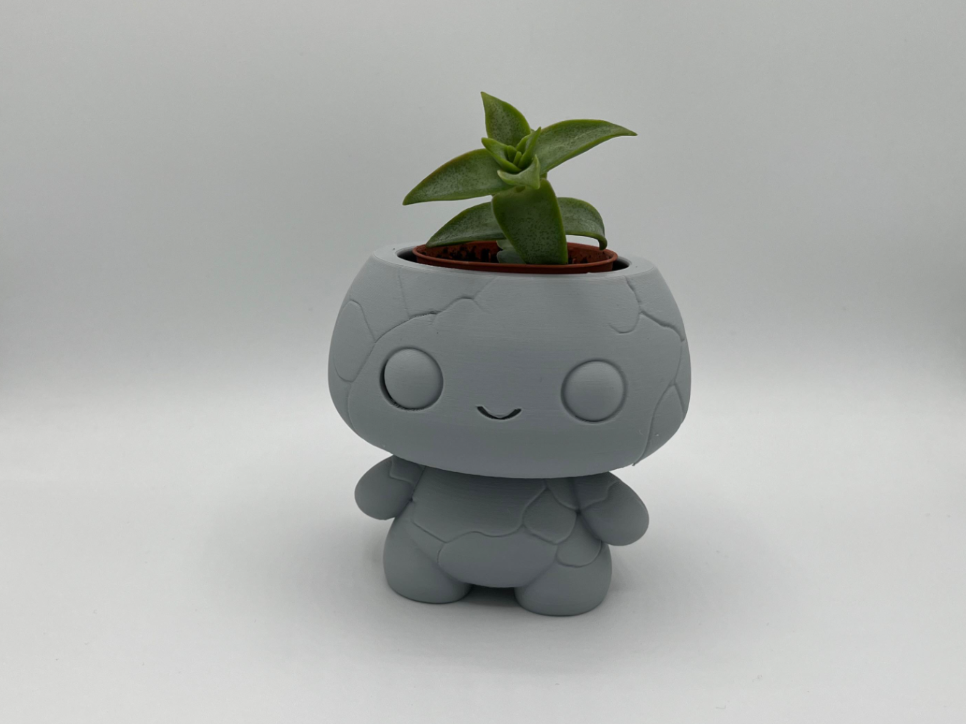 Chibi Buddy - Cute Pot and Planter for Succulents