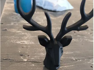 hirsch sehr modern
