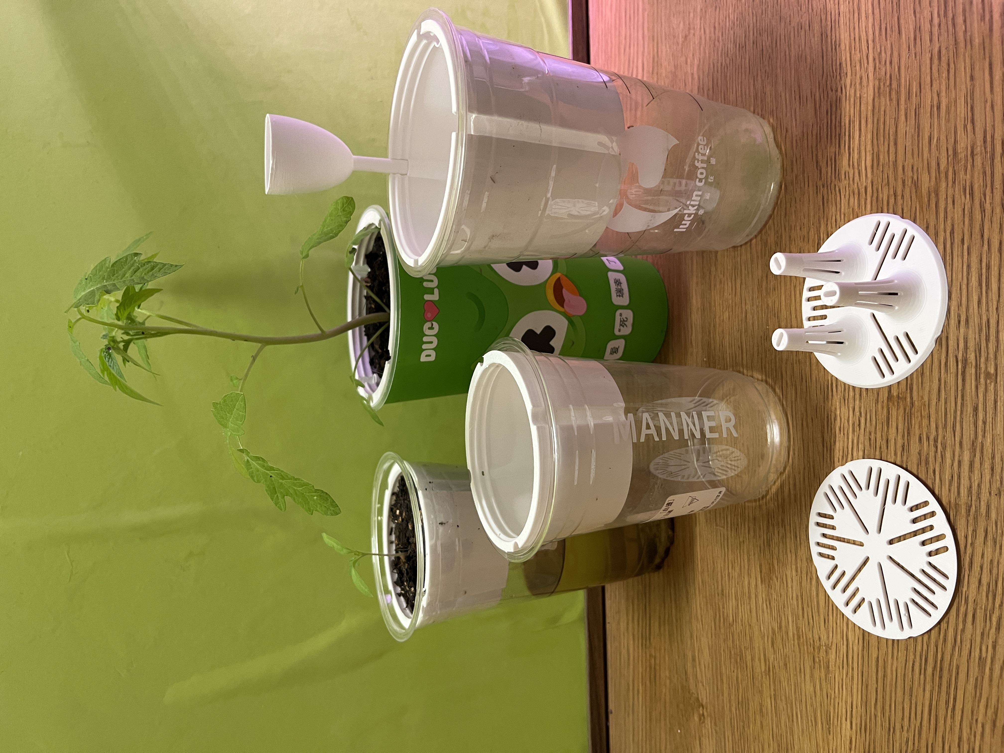 Miniatura 2 do modelo 3D 咖啡杯水培组合式内盆