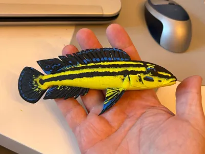 Julidochromis marksmithi 