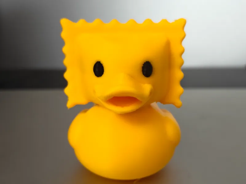 Ravioli Duck
