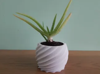 Small Spiral Plant Pot