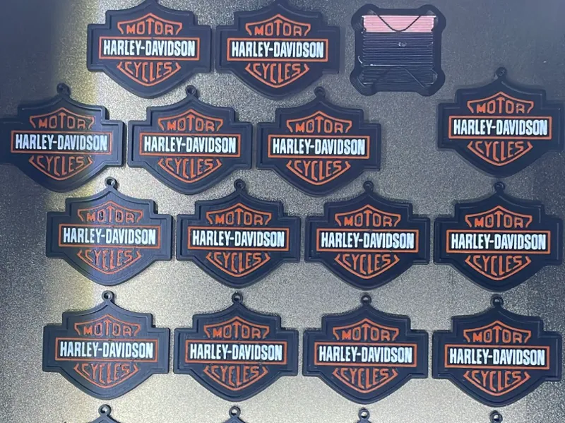 harley porta chaves