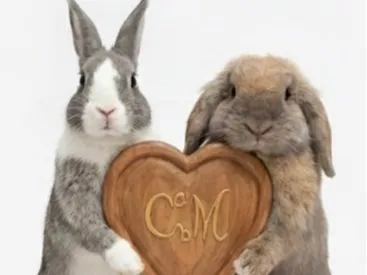 Cute Love Bunnies - Romantic Rabbit Statue