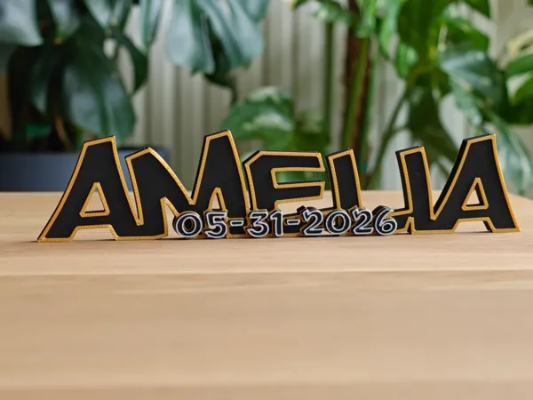 https://makerworld.bblmw.com/makerworld/model/USba2eed412491fb/design/d836bf9a3e8fe883.jpg