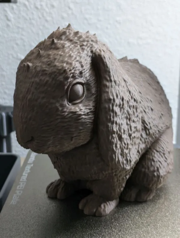 Rabbit