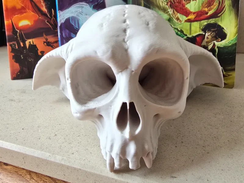 Dobby Skull - Harry Potter