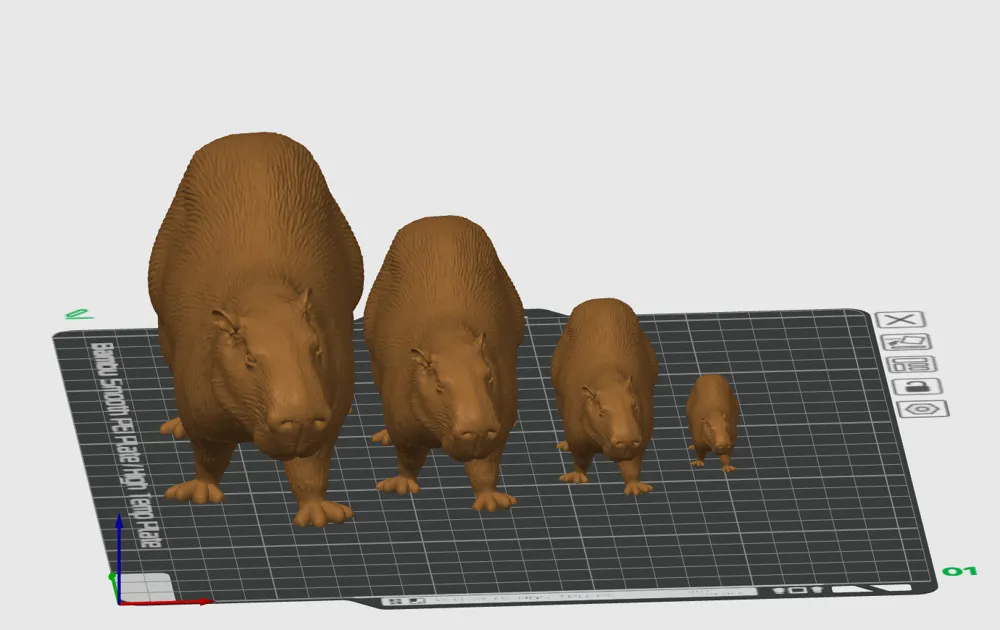 Lifelike Capybara - 4 Sizes by mspark607 MakerWorld: Download Free 3D ...