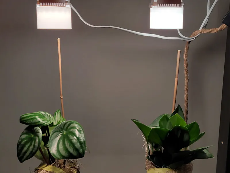 SANSI Puck Grow Light Cover