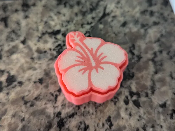 https://makerworld.bblmw.com/makerworld/model/USba39798be9ead9/design/2025-03-12_166d45b3182fd.jpg