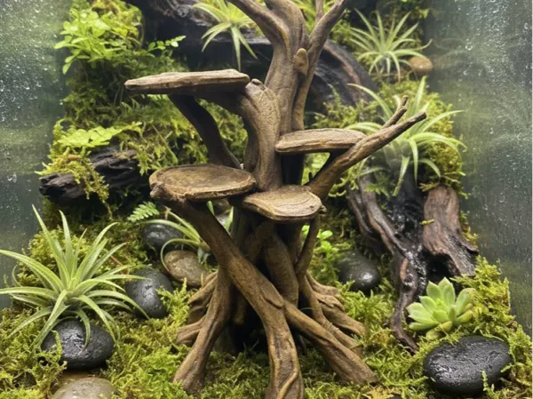 https://makerworld.bblmw.com/makerworld/model/USba3a2ae8cdb2c/design/b682e0a2ab436450.jpg