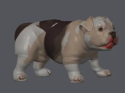 Pocket Bully