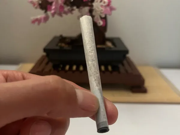 https://makerworld.bblmw.com/makerworld/model/USba3feff7f11a3c/design/2025-06-29_8c02385913fc8.jpg