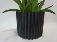 Without Holes