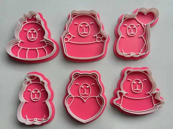 https://makerworld.bblmw.com/makerworld/model/USba49dc10b4363a/design/2026-01-19_4675c60756d07.jpeg