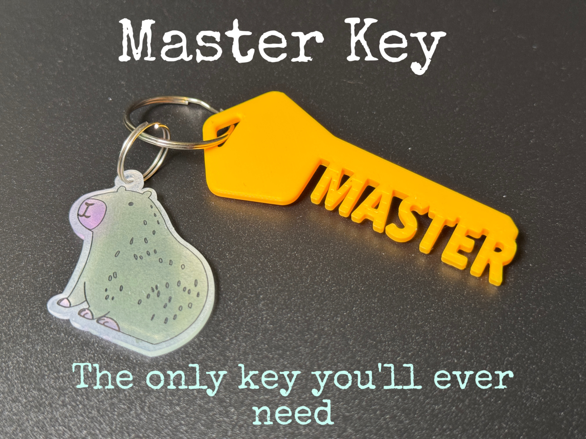 Master Key Keyring, Funny Prank Gift