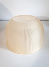 Medusa Lampshade