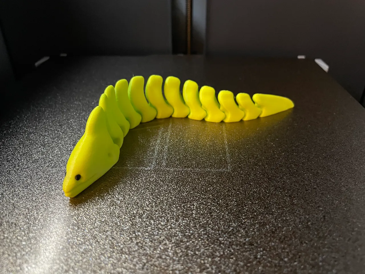 Articulated Moray Eel view 4