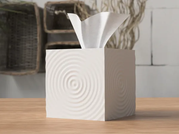 https://makerworld.bblmw.com/makerworld/model/USba55d573cd67a6/design/2024-07-16_734150b4cb002.png