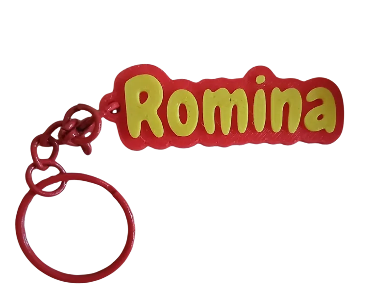 ROMINA PORTACHIAVE