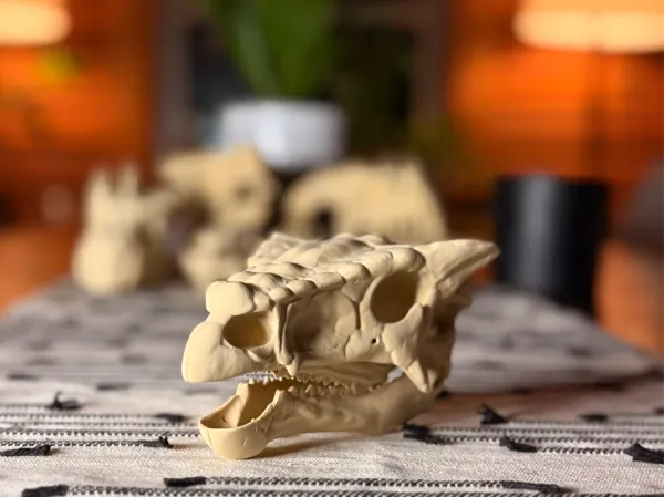 https://makerworld.bblmw.com/makerworld/model/USba5f55c7570b5b/design/2025-04-05_2d2ac6c2242a3.jpg