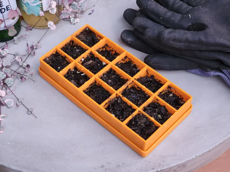 Seed Starter Tray