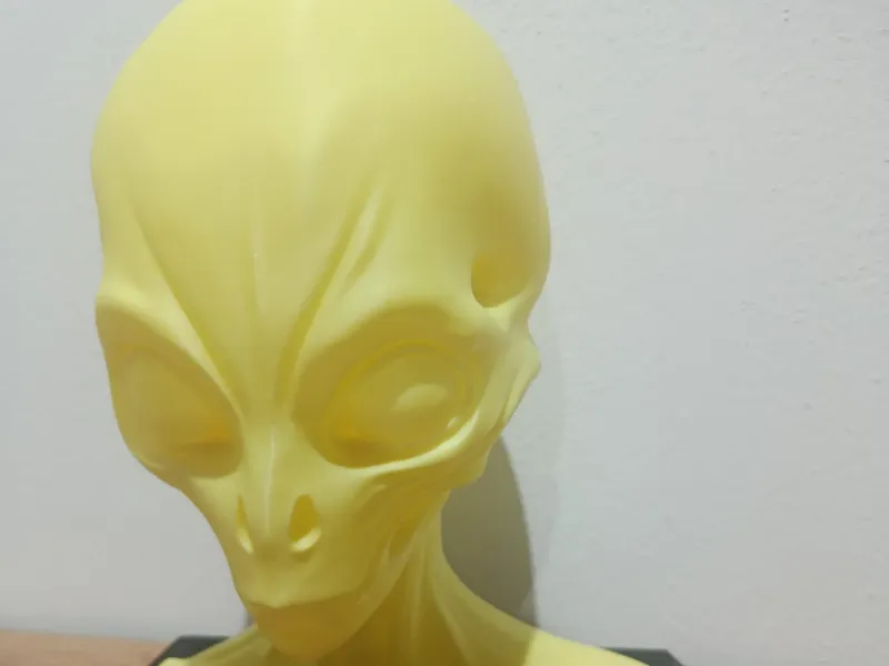 Alien busta