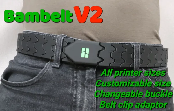 https://makerworld.bblmw.com/makerworld/model/USba653f089fa484/design/2024-12-01_9d18d4865627.png