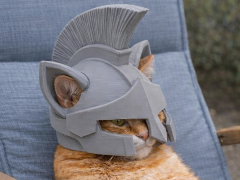 Spartan cat helmet! - 1