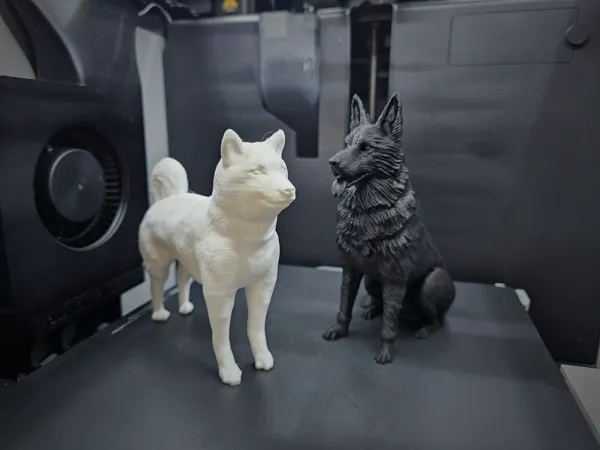 https://makerworld.bblmw.com/makerworld/model/USba70c10c286318/design/2024-02-01_eb1b570823a3.jpg