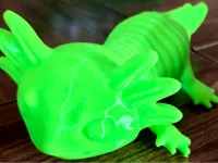 0.6mm nozzle, 0.3mm layer, 2 walls, 8% infill