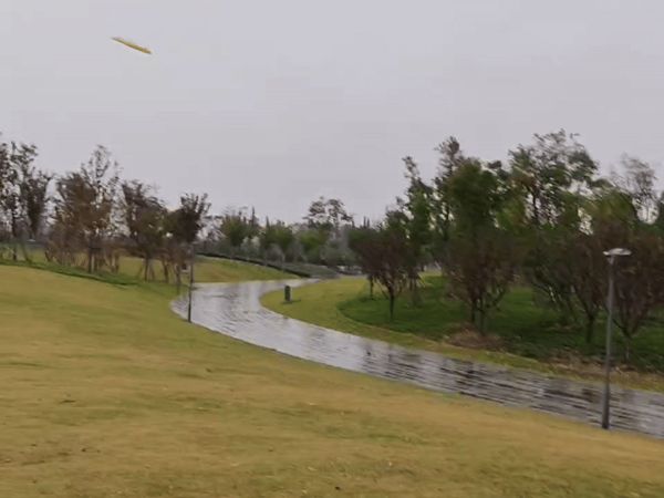 https://makerworld.bblmw.com/makerworld/model/USba75d56a77bd29/design/2025-11-06_7783746eb03f5.gif