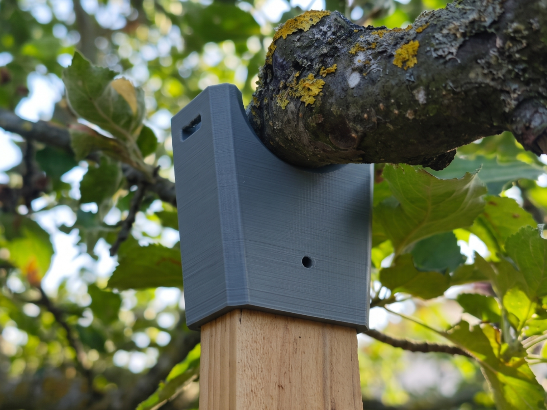 Tree Branch Support - parametric