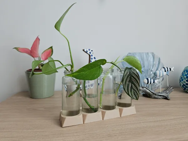 https://makerworld.bblmw.com/makerworld/model/USba76c869ef483c/design/2025-07-03_f5c4e9847c283.jpg