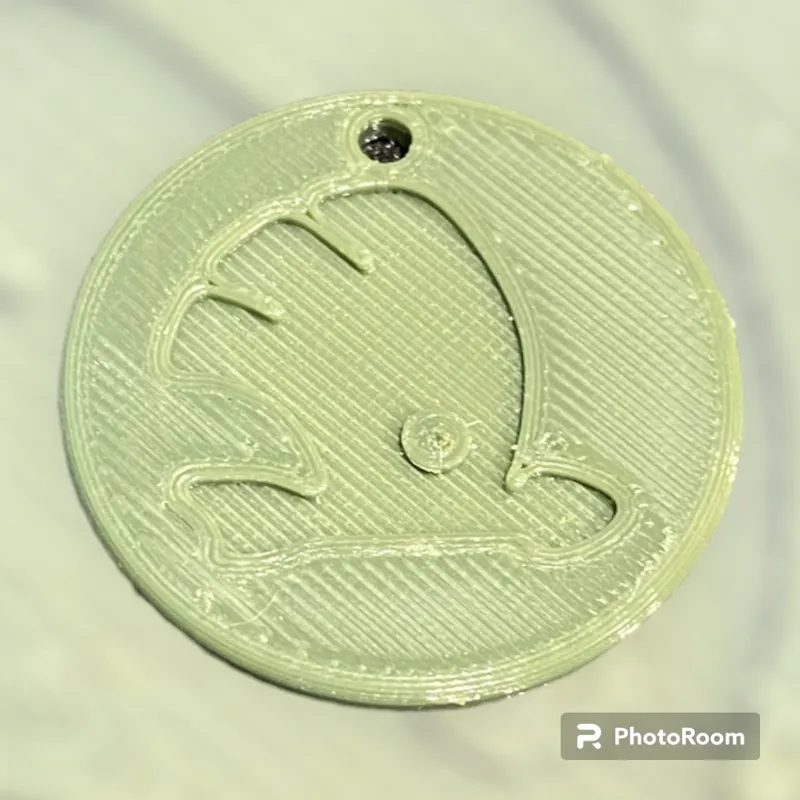 Skoda Keychain 