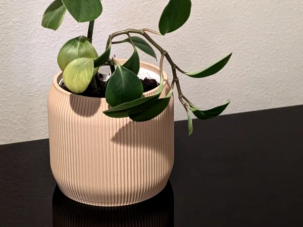 https://makerworld.bblmw.com/makerworld/model/USba7e302008252d/design/2025-07-30_4c77eee95380f.png