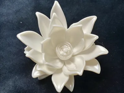 Epiphyllum
